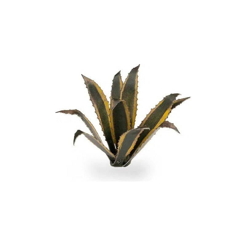 Gamers Grass Laser Plants Agave GGLP-AG