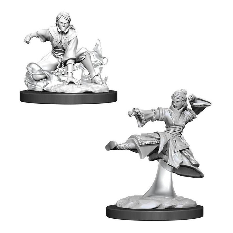 D&d: Nolzur's Marvelous Miniature Female Human Monk