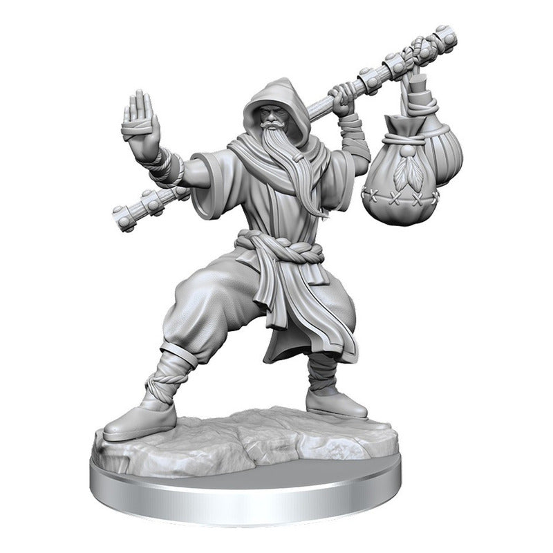 Dungeons & Dragons Frameworks Male Human Monk Miniature