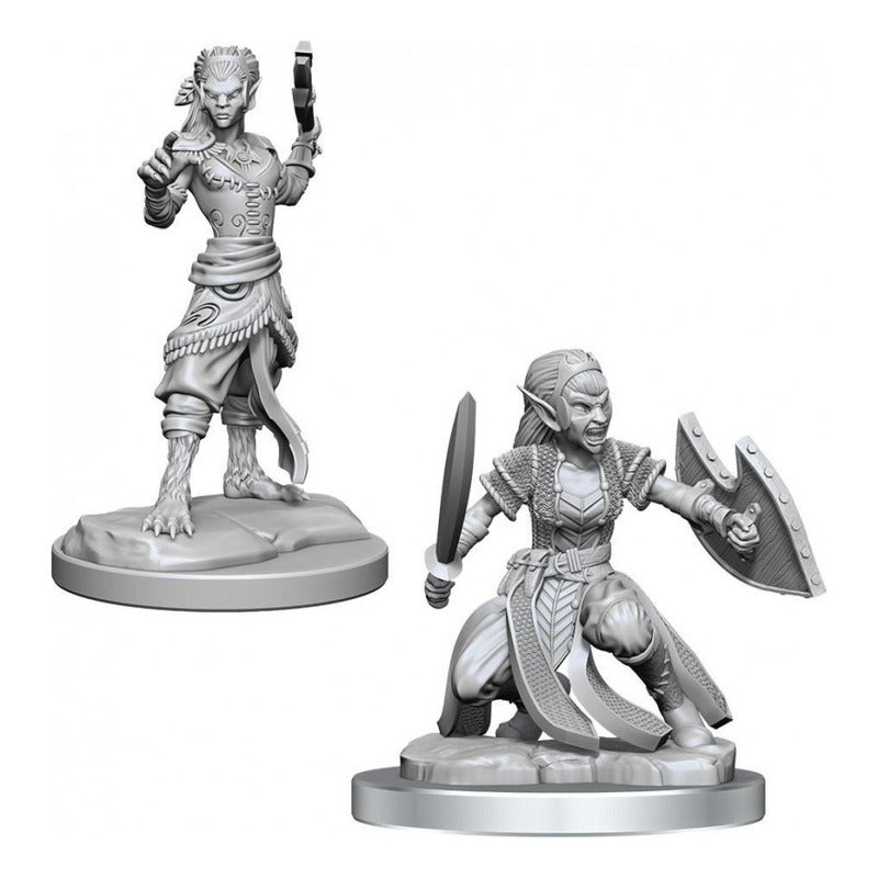 D&d Nolzurs Marvelous Miniatures Shifter Fighter Female