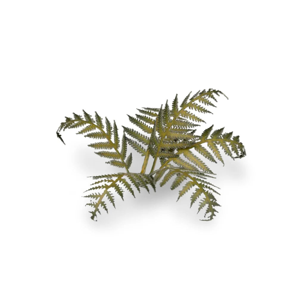 Gamers Grass Laser Plants Bracken GGLP-GB