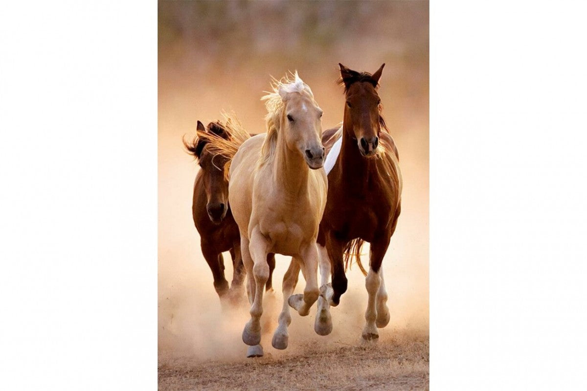 Clementoni Rompecabezas Caballos Corriendo 1000 Pza