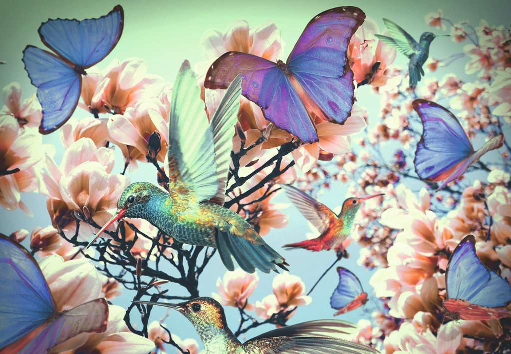 Ravensburger Rompecabezas Moment Colibrí 300 Pza
