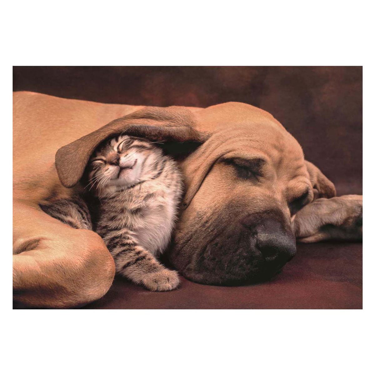 Clementoni Rompecabeza Perro Y Gato Acurrucados 500 Pza