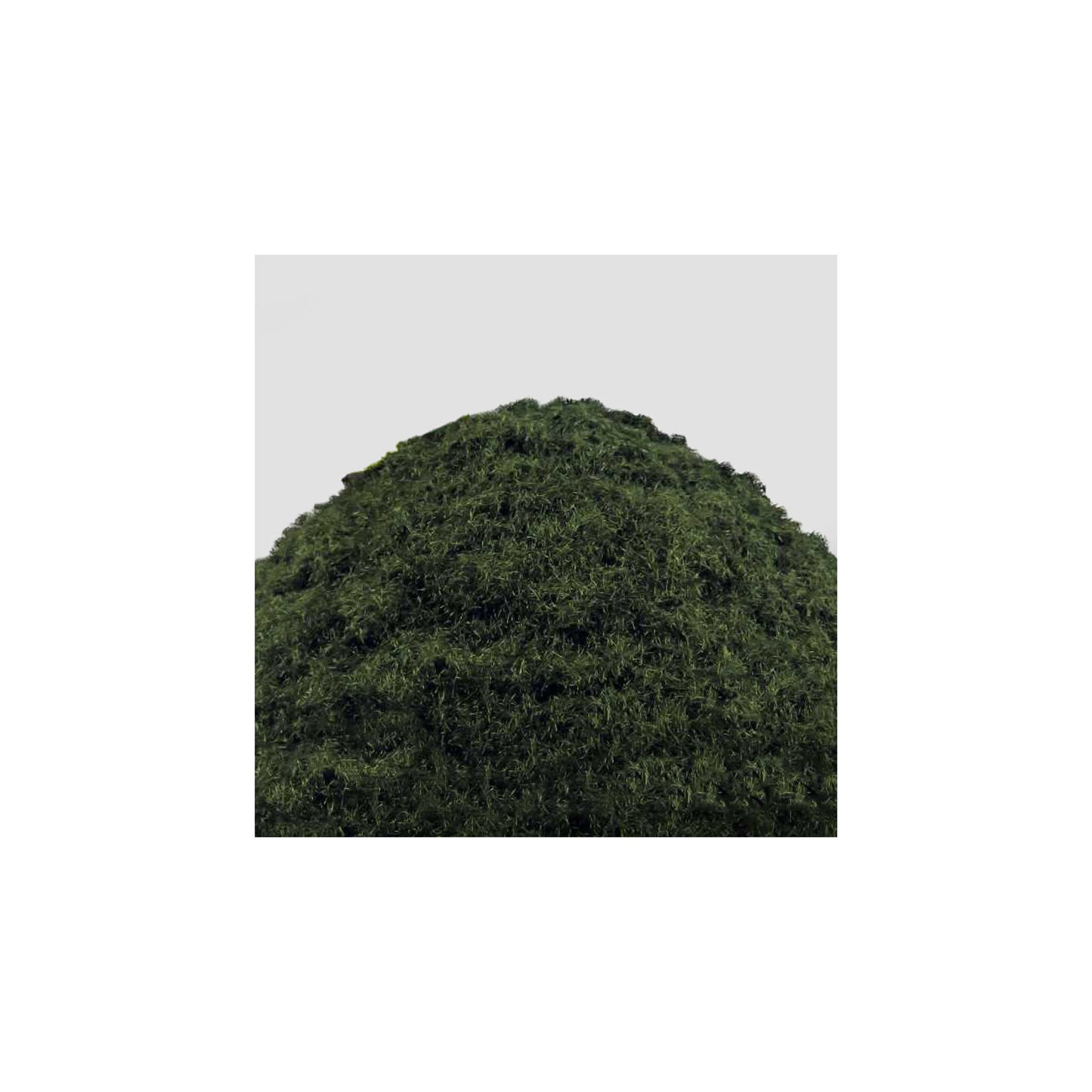 Green Stuff World Cesped Electrostatico 2-3mm Dark Green Marsh 200ml
