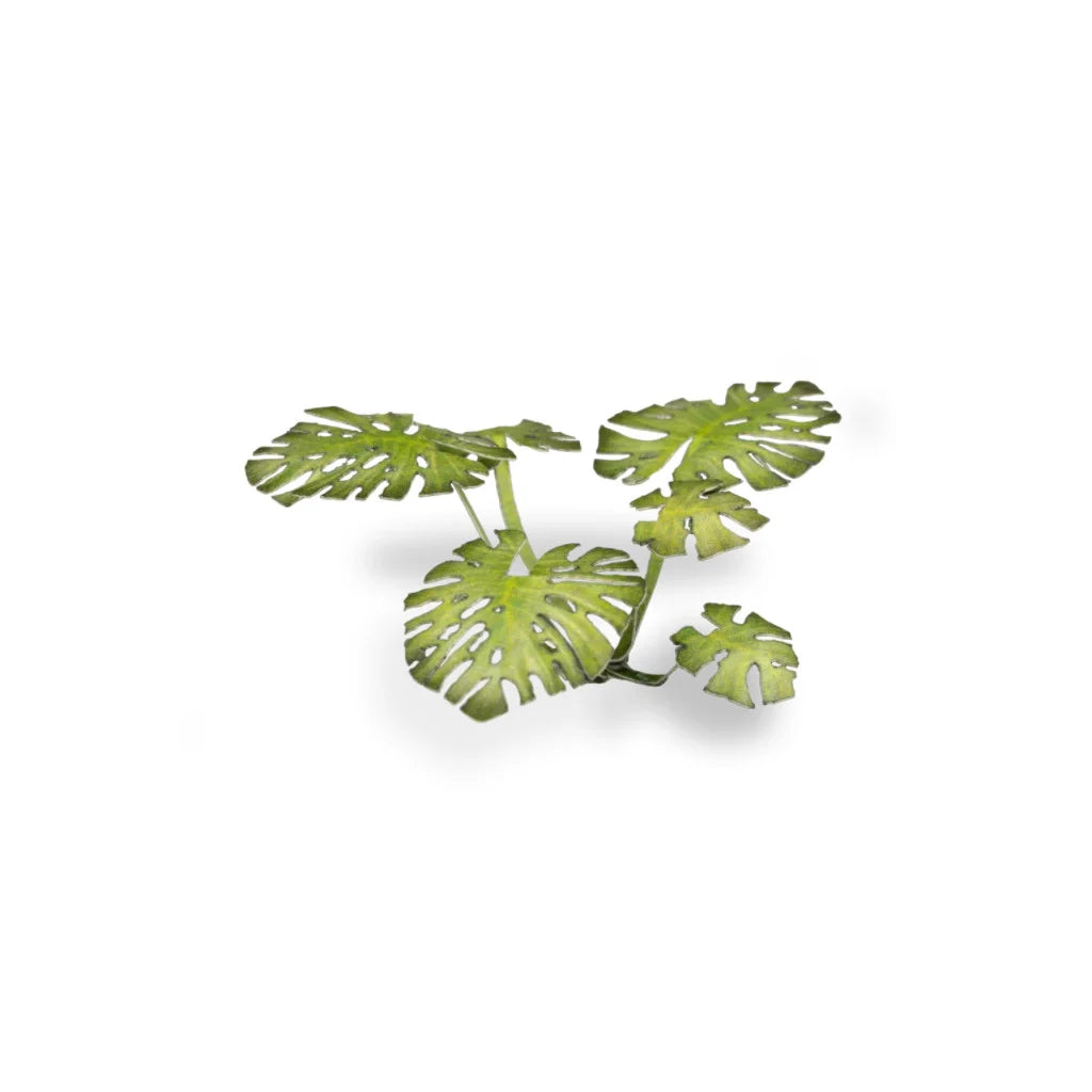 Gamers Grass Laser Plants Monstera GGLP-MT