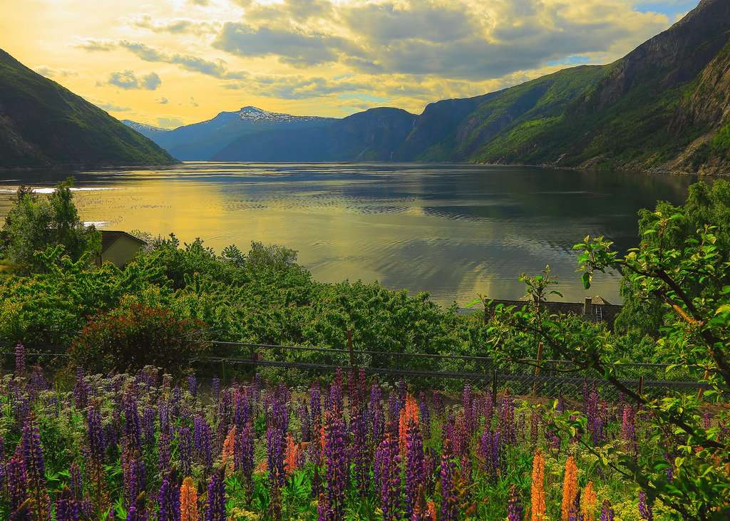 Ravensburger Rompecabezas Fiordo En Noruega 1000 Pza