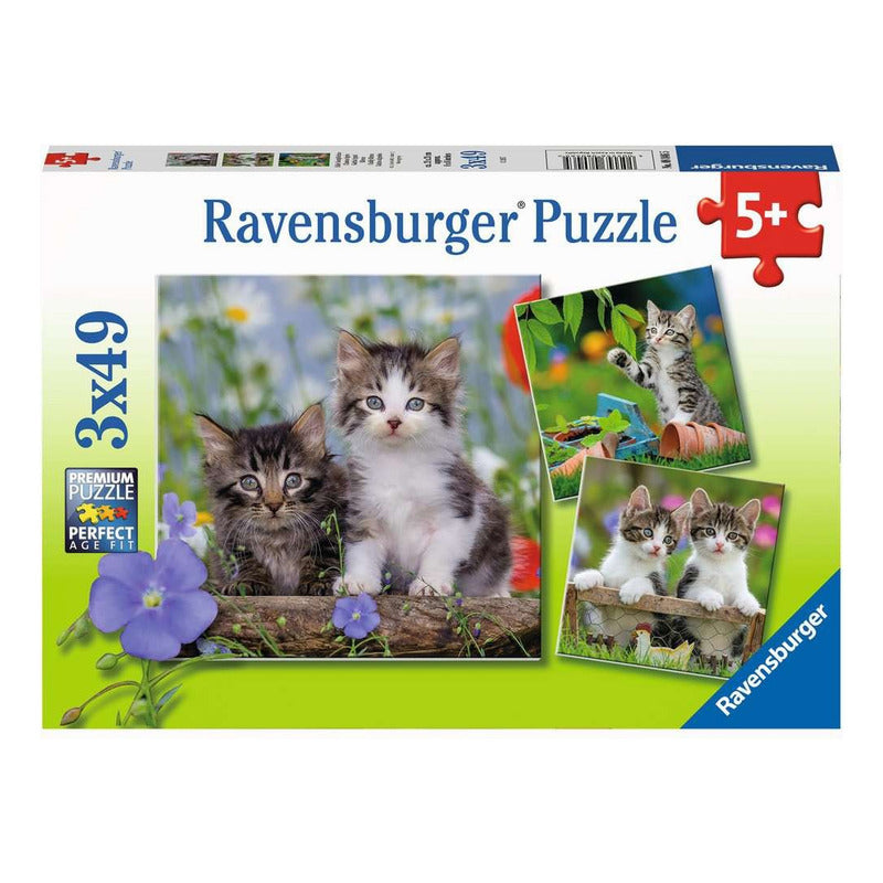 Ravensburger 3 Rompecabezas Pequeños Gatitos 49 Pza