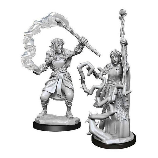 D&d: Nolzur's Marvelous Miniature Female FirboLG Druid