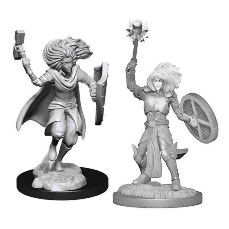 D&d Nolzurs Marvelous Miniatures Changeling Cleric