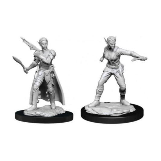 D&d Nolzurs Marvelous Miniatures Female Shifter Rogue