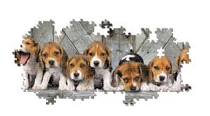 Clementoni Rompecabezas Panoramico Cachorros Beagles 1000pza
