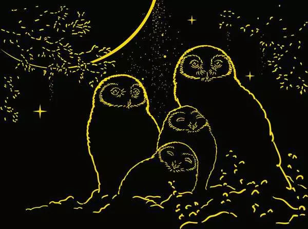 Ravensburger Rompecabezas Búhos A La Luz De La Luna 500pz