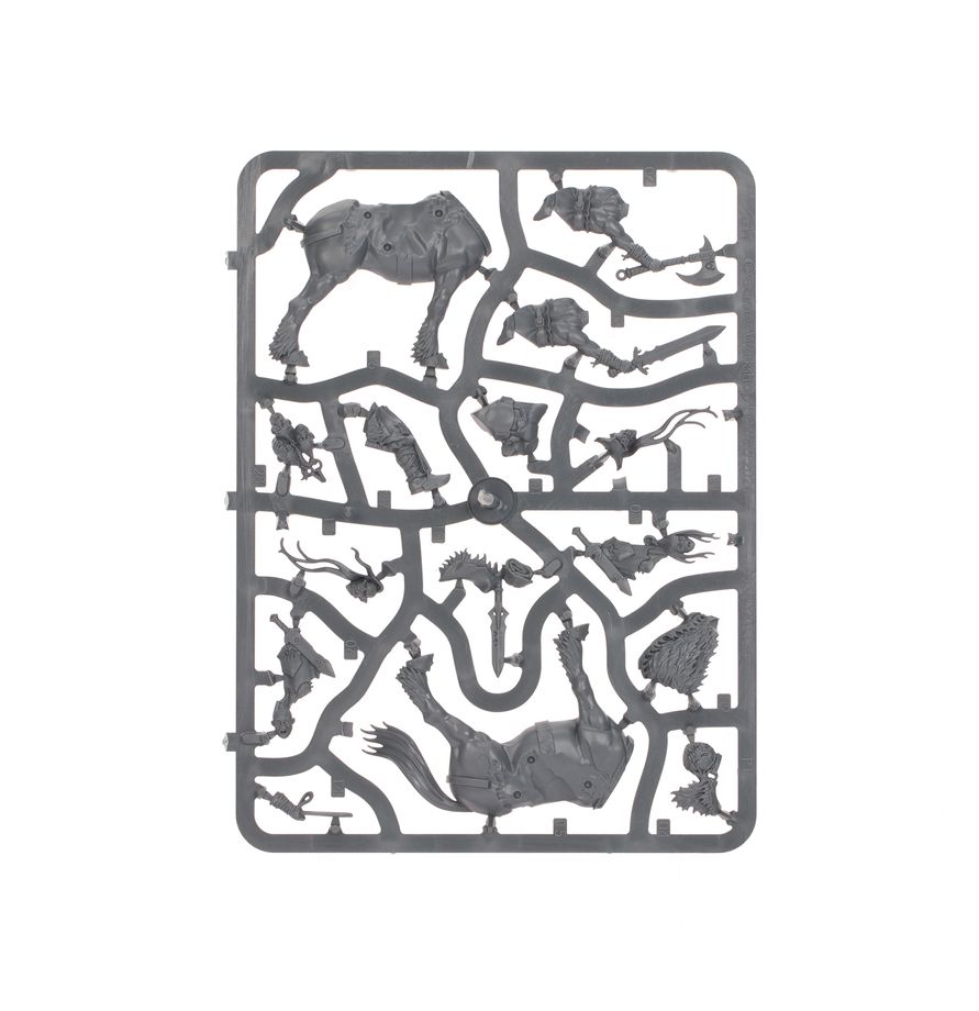 Games Workshop Warhammer AOS Slaves To Darkness Darkoath Chieftain On Warsteed