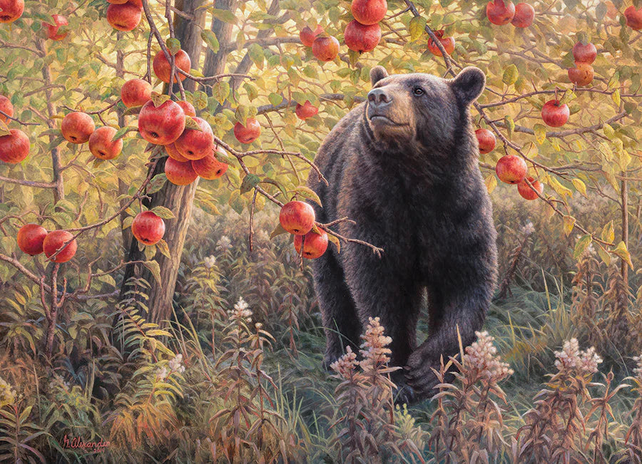 Cobble Hill Rompecabezas El Oso Y Las Manzanas Rojas 500 Pza