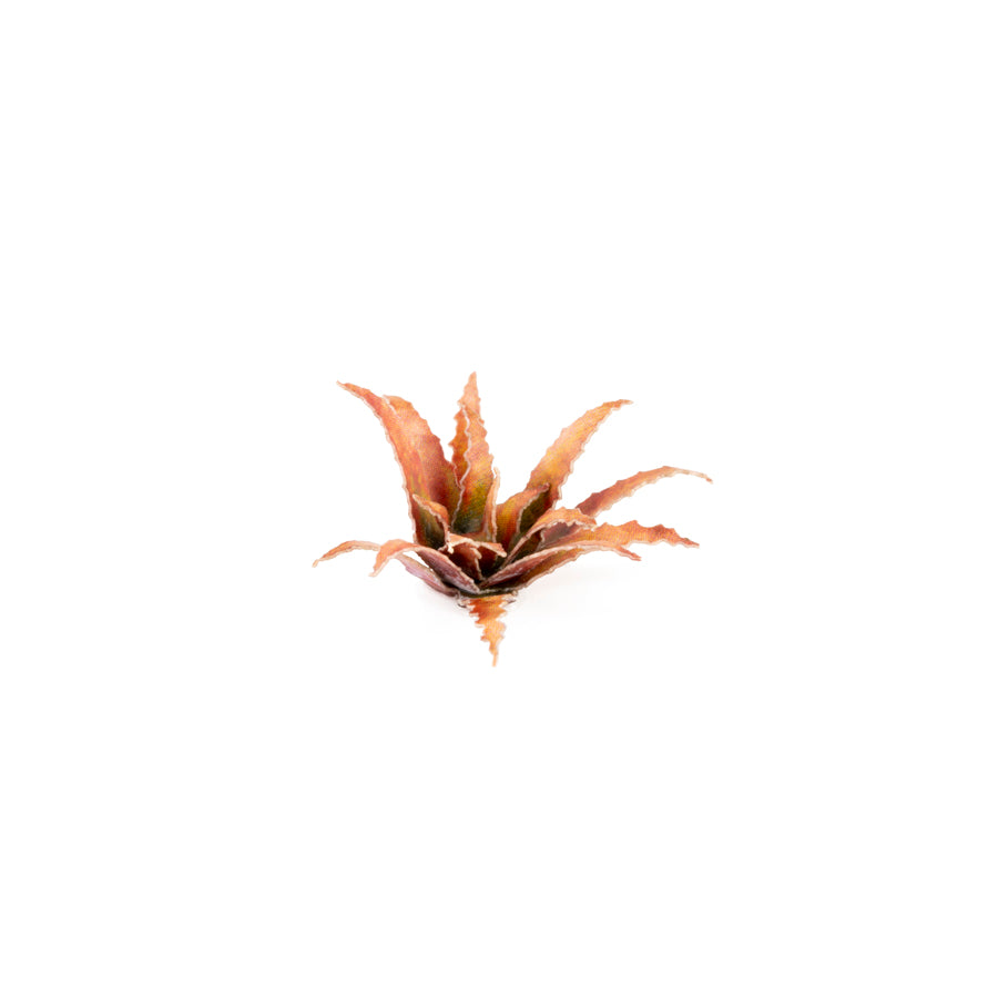 Gamers Grass Laser Plants Red Aloe GGLP-RA