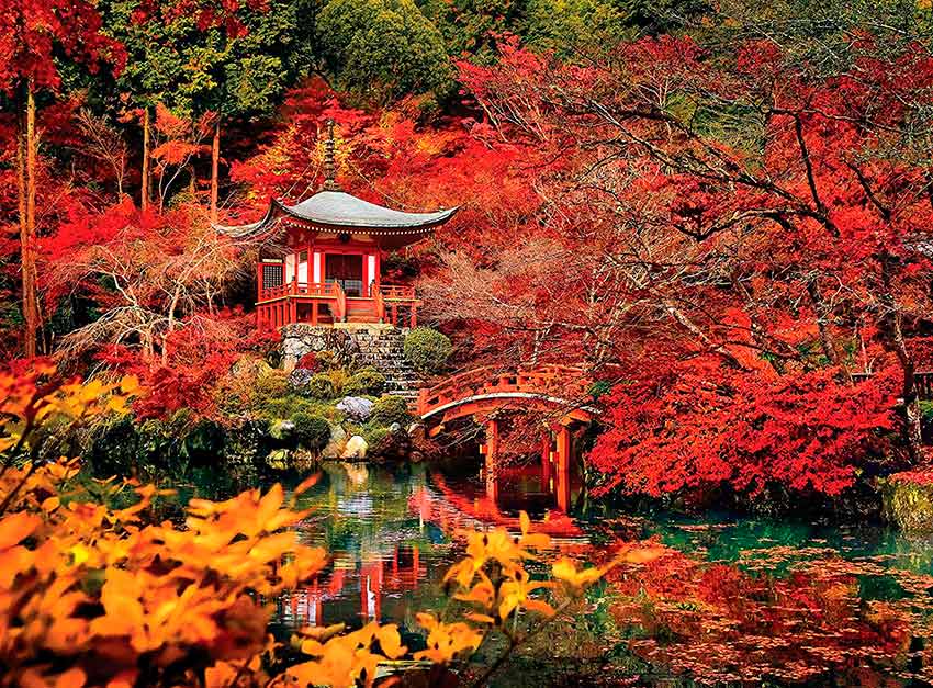 Clementoni Rompecabezas Sueño Oriental Colores Otoño 500 Pza