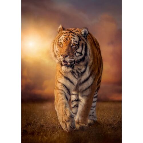 Clementoni Rompecabezas Tigre 1500 Pza